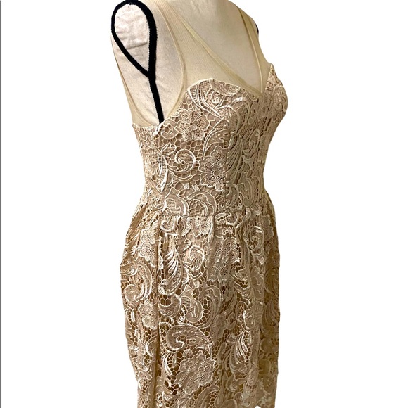 ADRIANNA PAPELL Lace Illusion Midi Size 4 - Picture 5 of 15